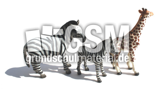 Tiere-Präpositionen-2.jpg